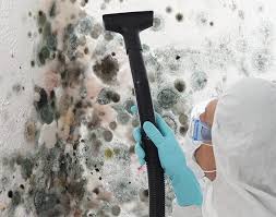 Forensic Mold Investigation in Contoocook, NH